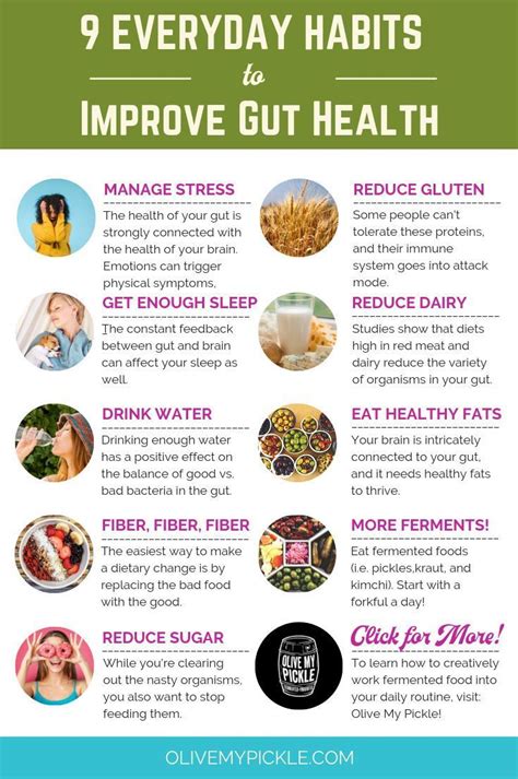 How to Optimize Your Gut Health .